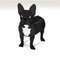 Schwarz