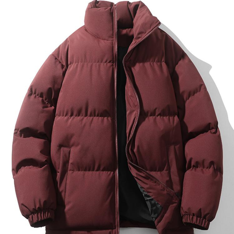 Winterjacke Herren | Jacke Herren Stehkragen | Gepolsterte Passform