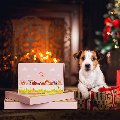 "Australischer Rinder-Blumentopf" could be rewritten as "Australischer Rinderpflanztopf" or "Blumentopf aus australischem Rinderleder". If you have a specific style or focus in mind, please let me know!